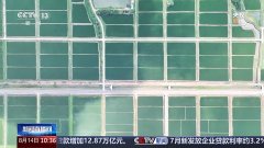 大模子、无人机成田间地